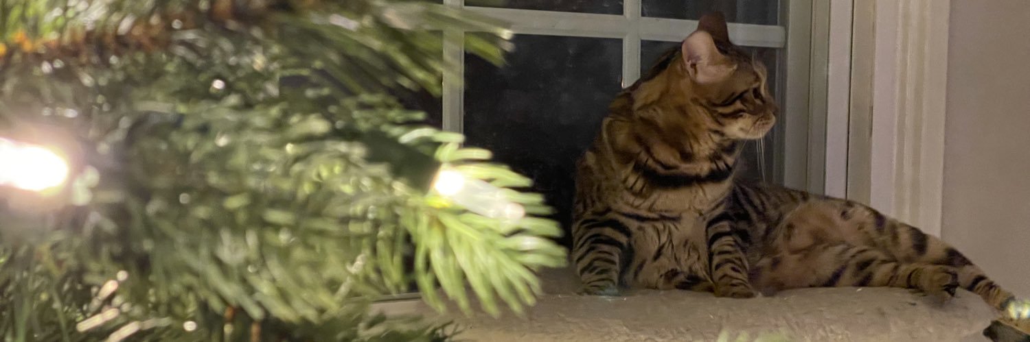 Jonny Freakin Gomez banner