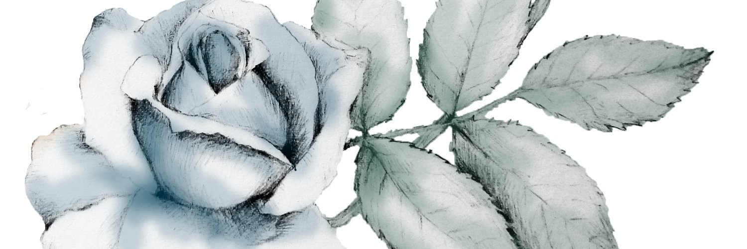 LandaisLucile's profile banner image