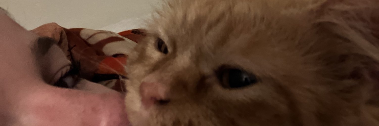 cammburrell's profile banner image