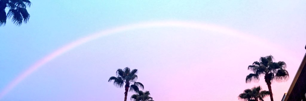 Presley Wascom banner