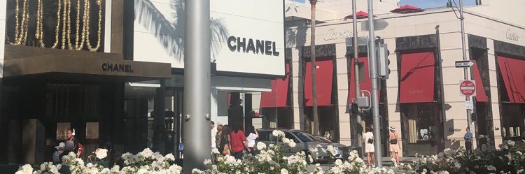 giannaascalisee's profile banner image