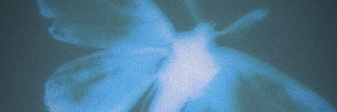 júlia banner
