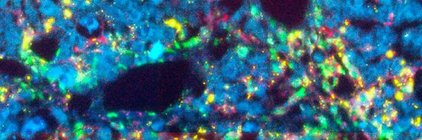 Tacke_lab Profile Banner