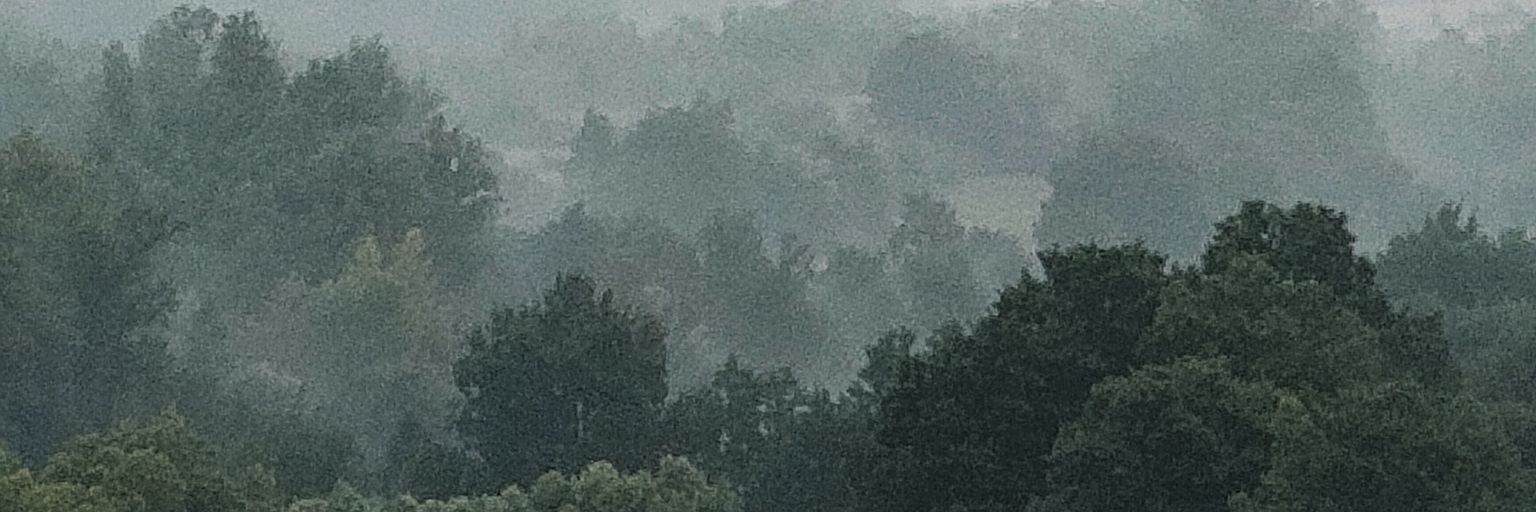 pisa6595's profile banner image
