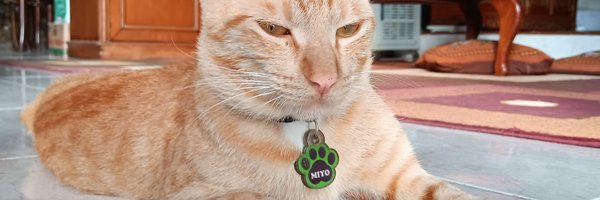 narum3_chan Profile Banner