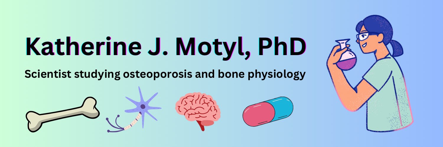 KatherineMotyl's profile banner image