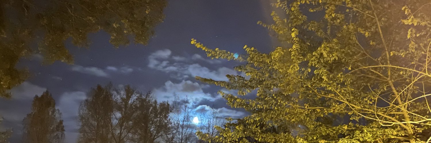 Loxzo 🇧🇪 banner