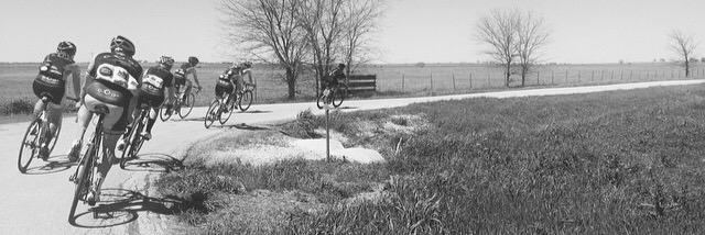 chris toriggino banner