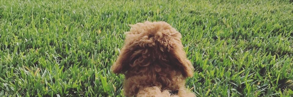 matherly_t's profile banner image