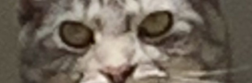 Uncle_Fool's profile banner image
