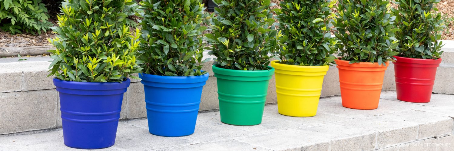 Benjamin Vodant banner