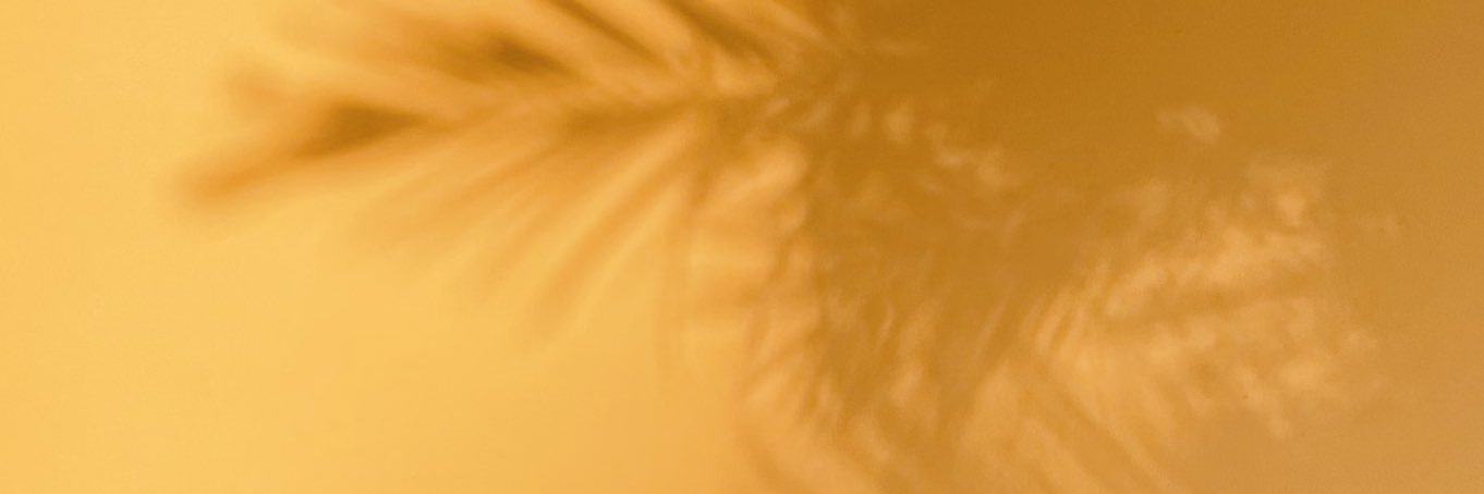 Rik Schennink banner