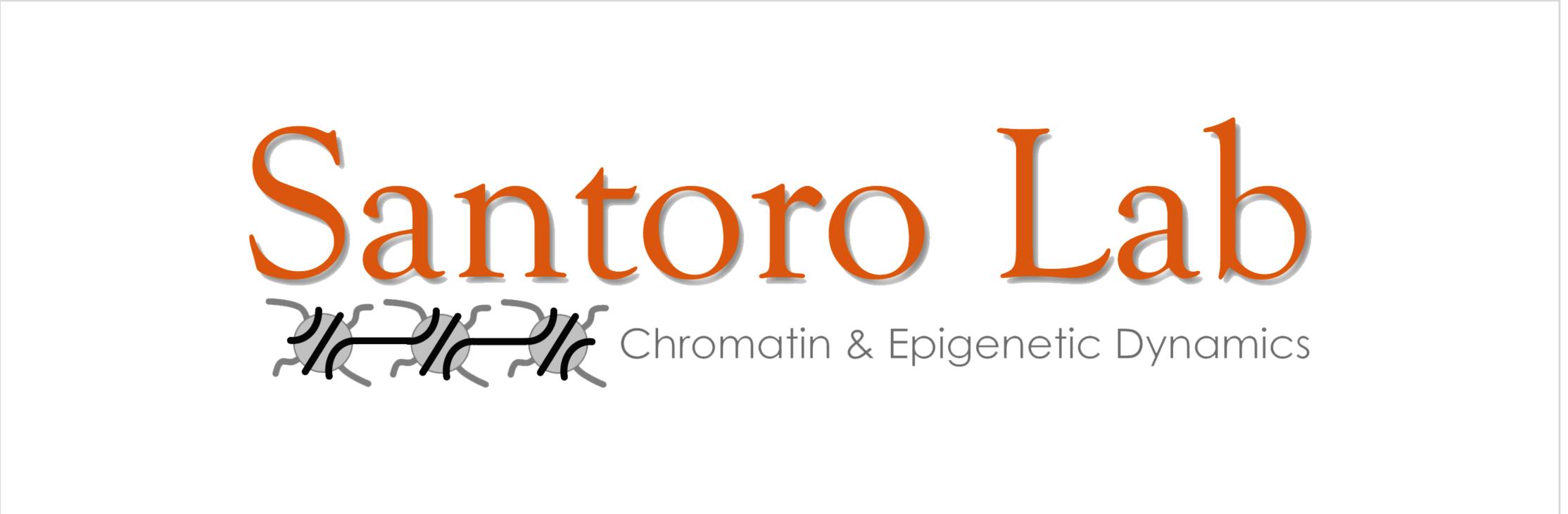 RaffaellaSantoroLab's banner