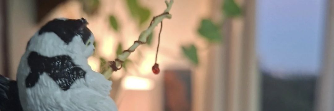 maia2304's profile banner image