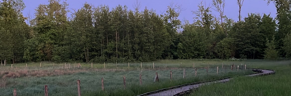 leekleee6's profile banner image