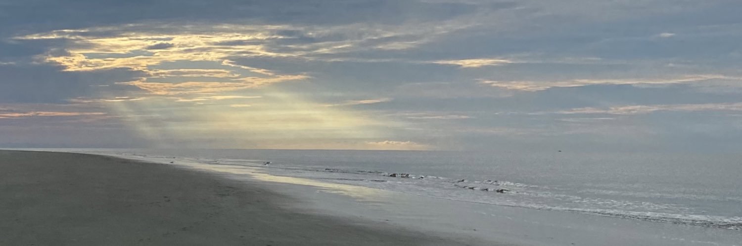 Amanda Elmore, PhD banner