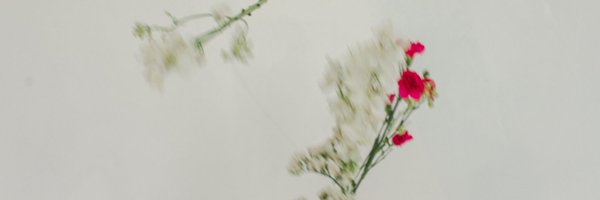 ryanantooa Profile Banner