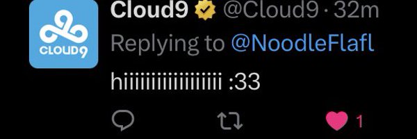 NoodleFlafl Profile Banner