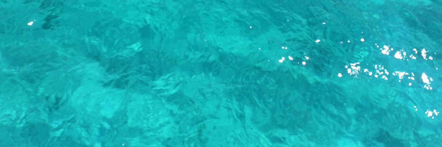 Sebastian Reichel banner