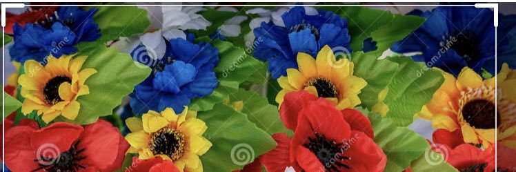 Marie Horechuk banner