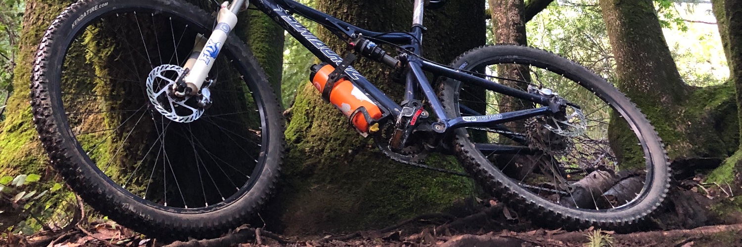 yin lu 🦉🧽 banner