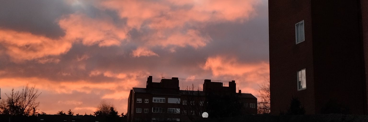 Neereittaaa's profile banner image