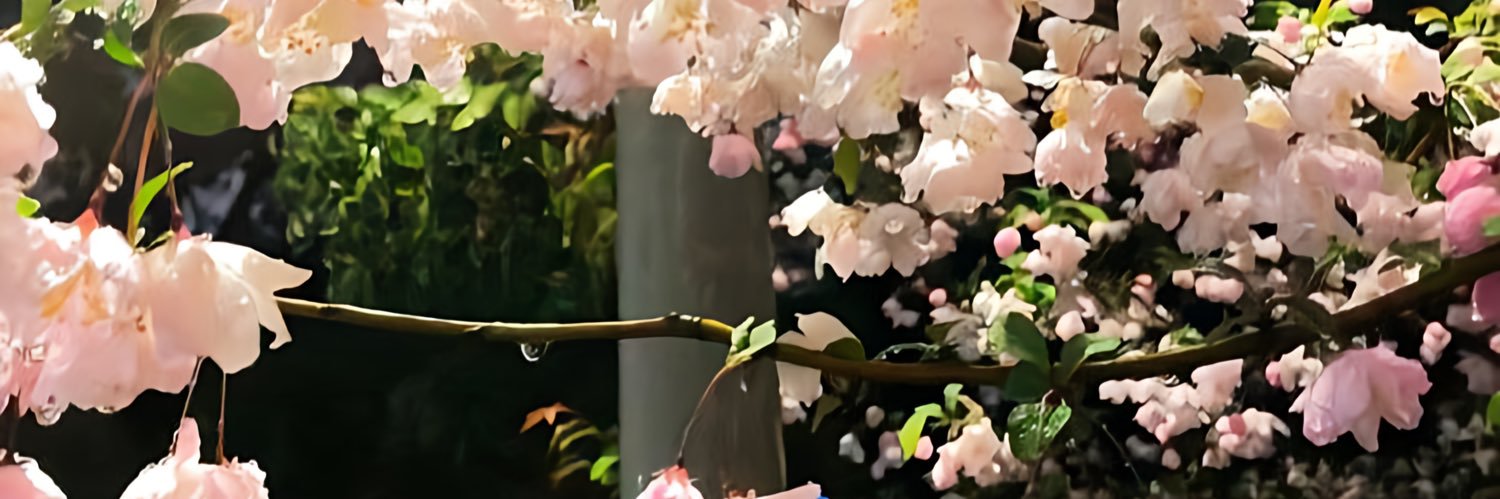 vityshield's profile banner image