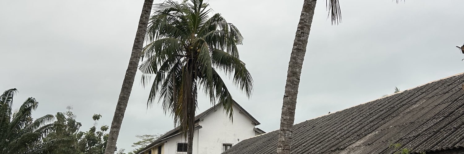 amedd_'s profile banner image