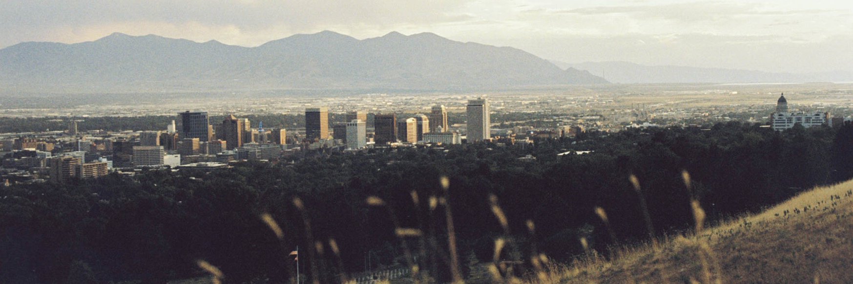 ndog013's profile banner image