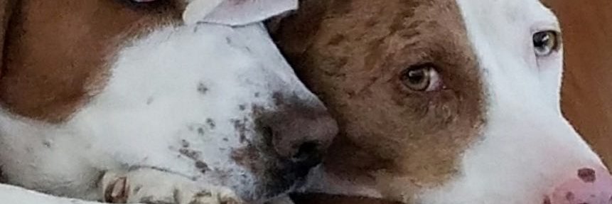 BacknMA's profile banner image
