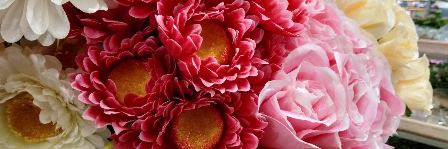 okvilalopi's profile banner image