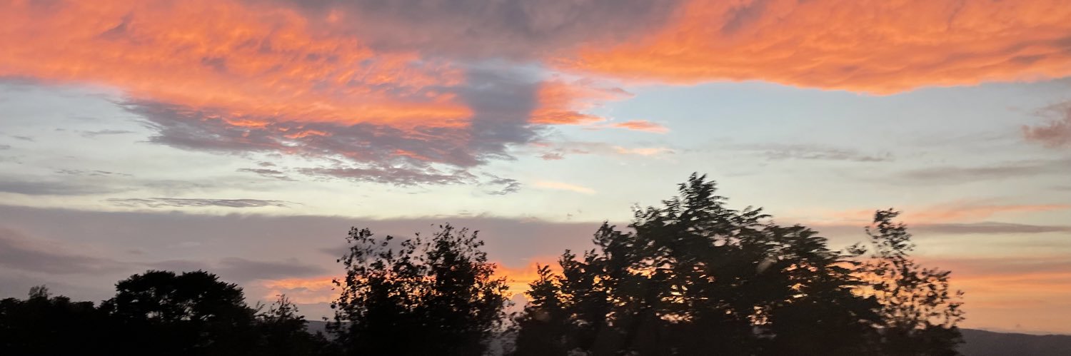 collstengel's profile banner image