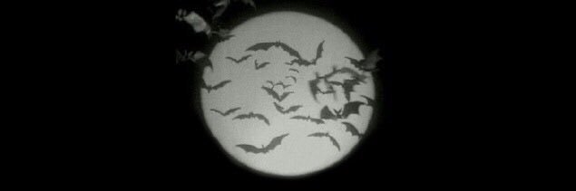 skelemints's profile banner image