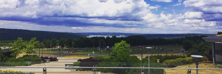 Emily L. Rittenberg banner