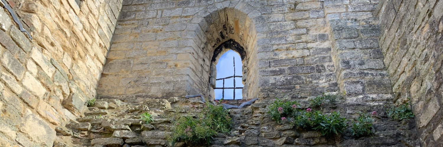 Laura Connoy, PhD banner