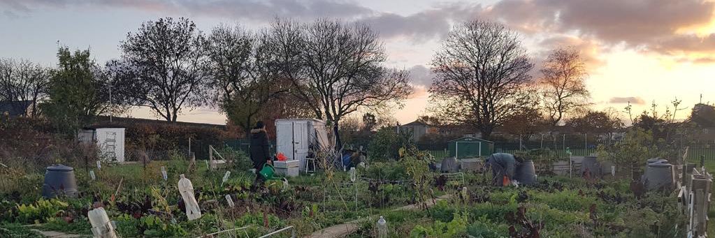Allotment Films banner