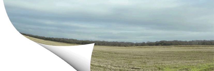 dreamsoulja's profile banner image