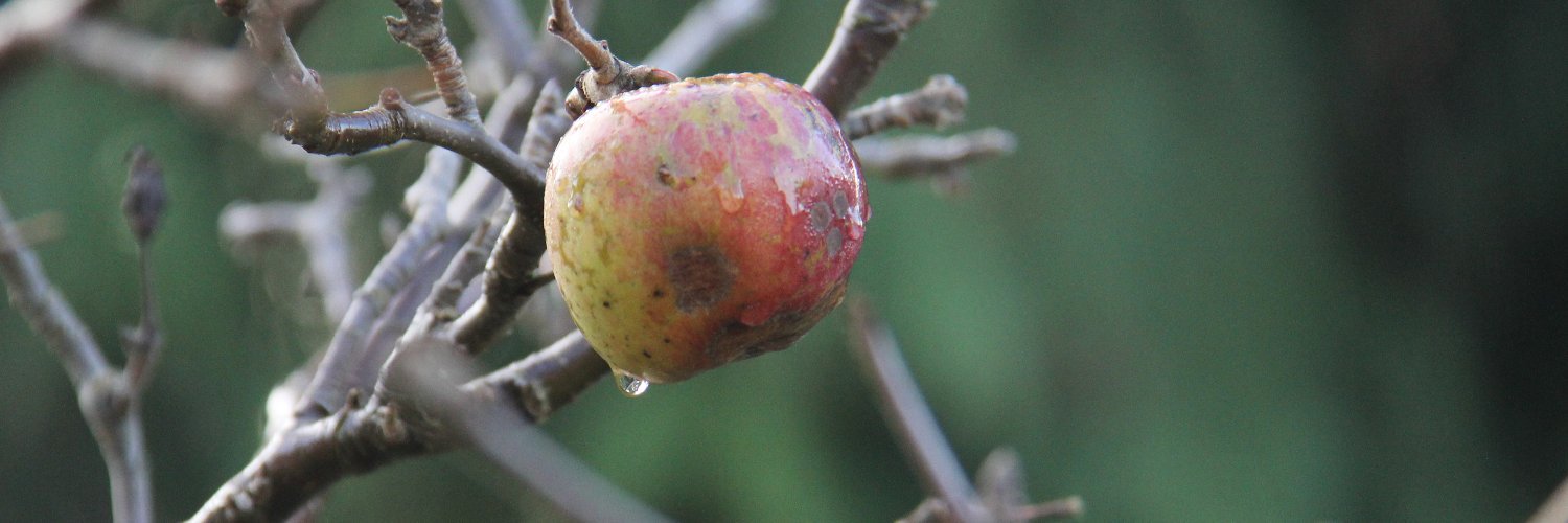 C. van Reeuwyk banner