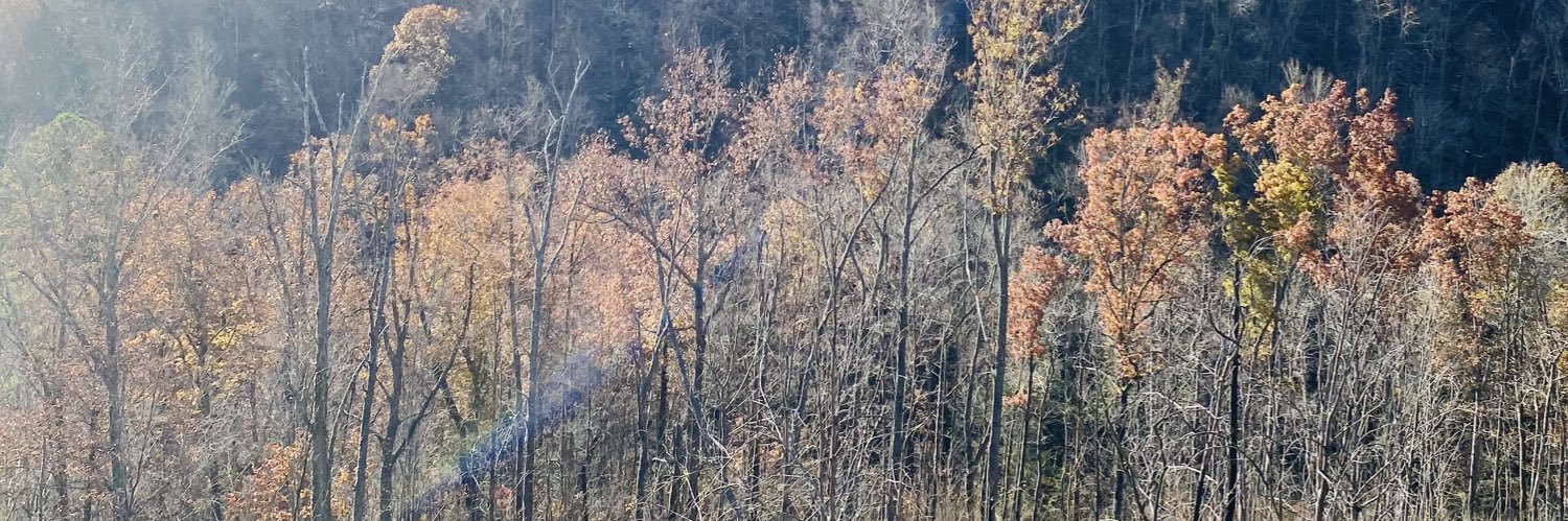 Swaggerjack_d banner