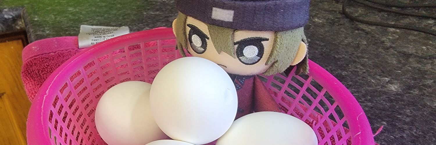 Shinjiro Eggygaki banner