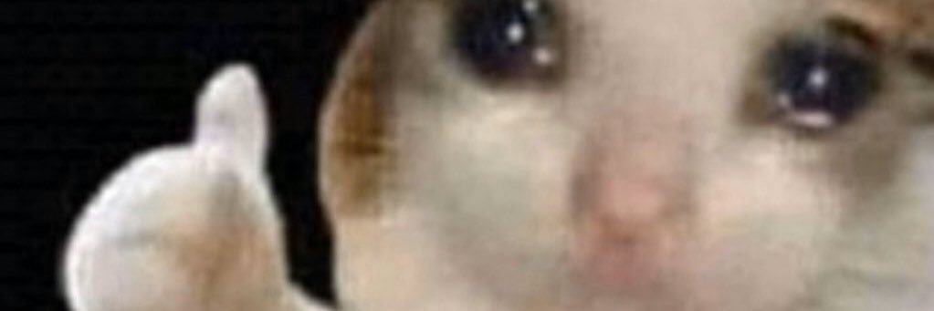 nicondtherebels's profile banner image