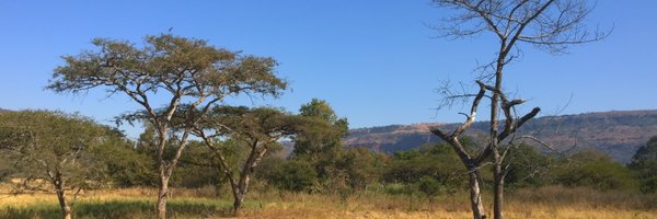 Siderop Profile Banner