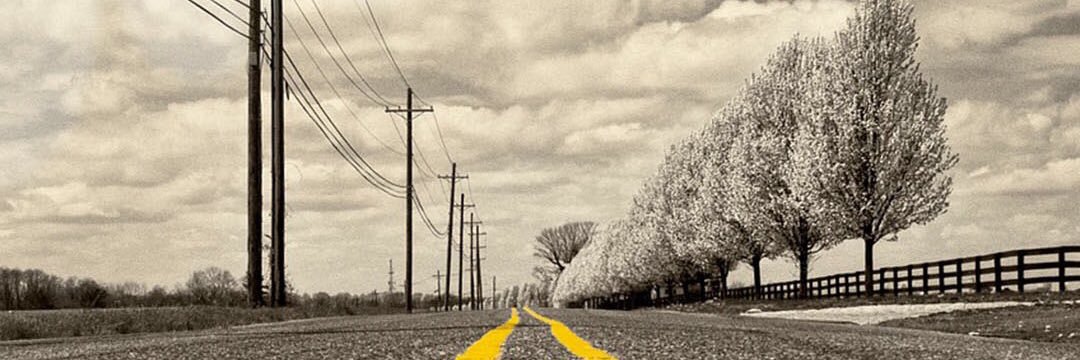 Nony_xs's profile banner image