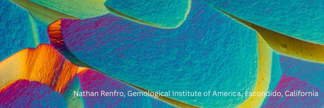 Microscopy Society banner