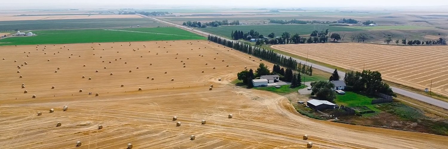 1st Choice Savings banner