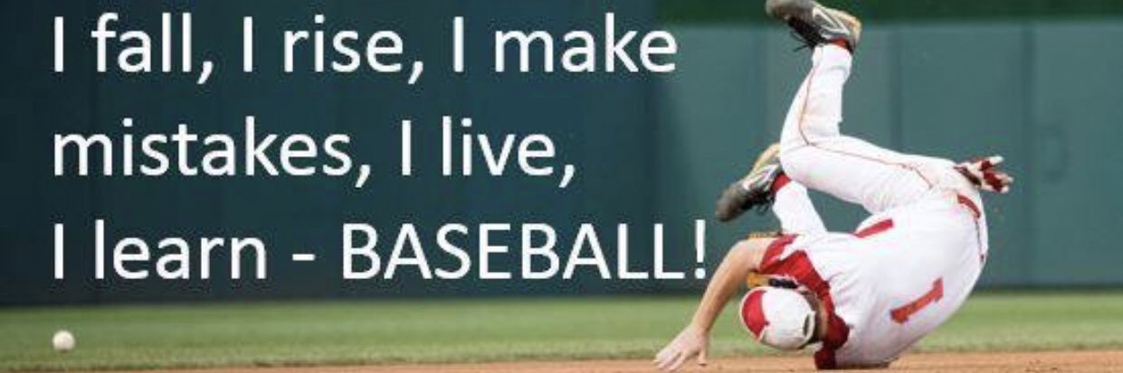 Stix Baseball banner