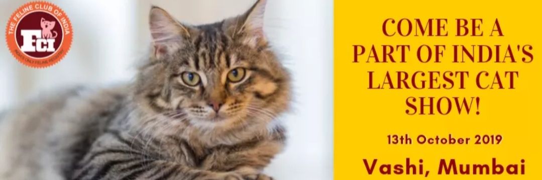 The Feline Club of India banner