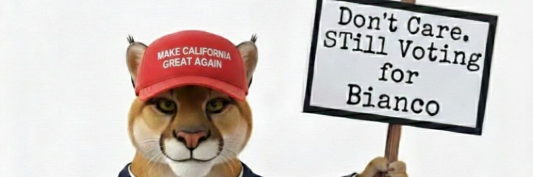 Arthur C. Schaper banner