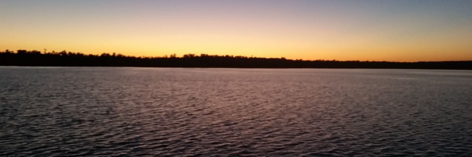 therealrobpauli's profile banner image
