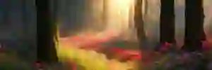 qwame76's profile banner image